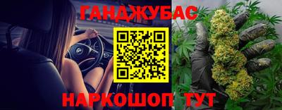спайс Гагарин