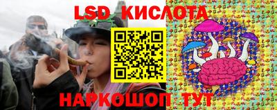 спайс Гагарин