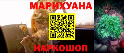 спайс Гагарин