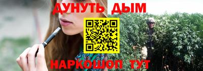 спайс Гагарин