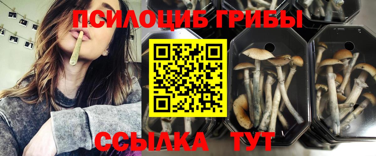 Галлюциногенные грибы Magic Shrooms Ковров